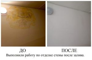 Выполнили работу по отделке стен после залива